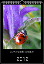 Calendrier 2012 - Coccinelles et Papillons